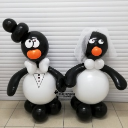 пингвины жених с невестой